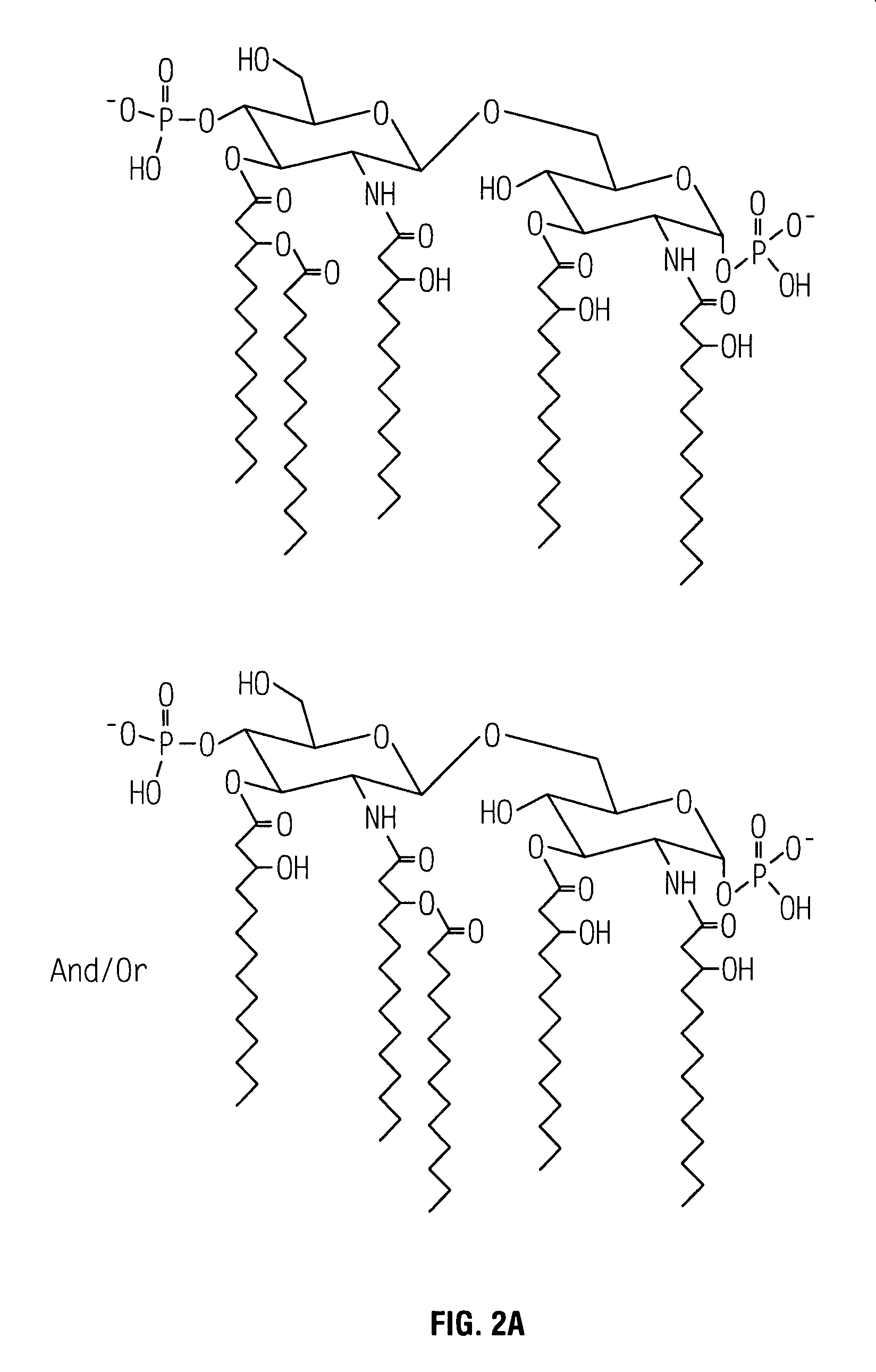 Non-toxic mutants of pathogenic gram-negative bacteria