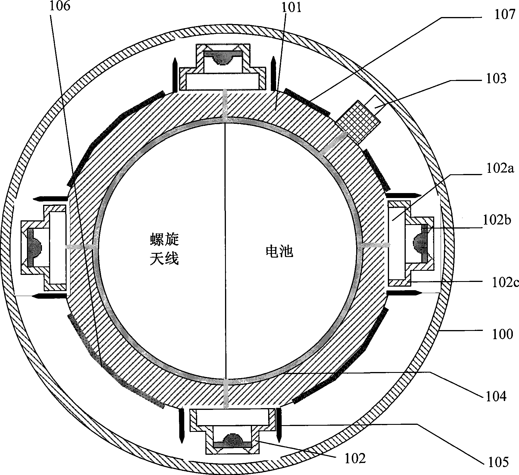 Full visual acquisition system for organism in body cavity