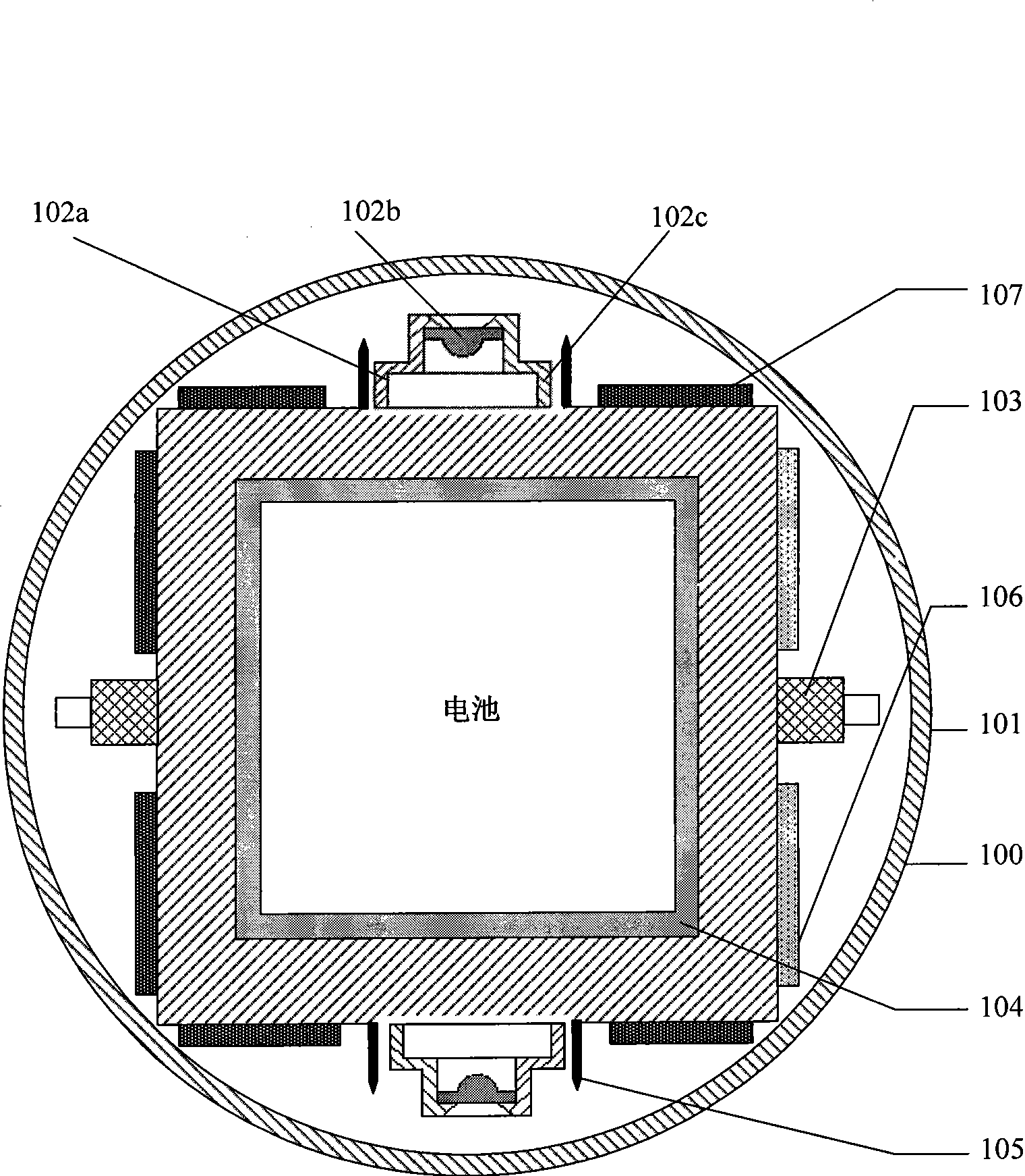 Full visual acquisition system for organism in body cavity