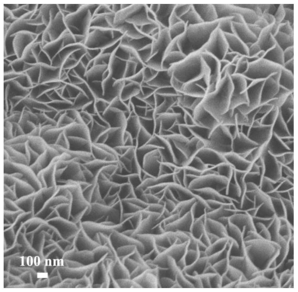 Preparation method and application of self-supporting catalytic electrode