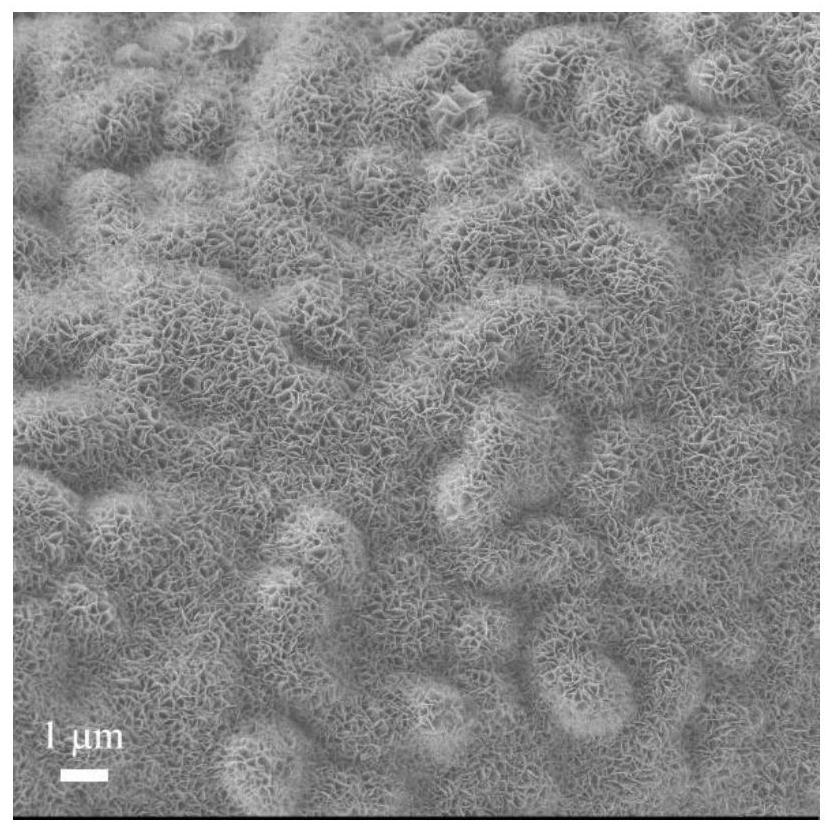 Preparation method and application of self-supporting catalytic electrode