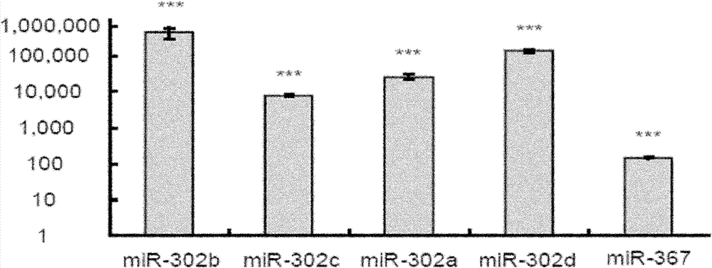 Method for applying miRNA clusters in changing cell fates