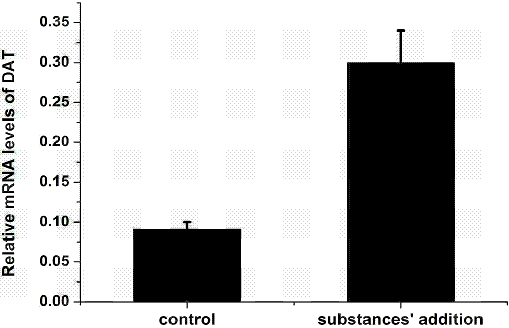 Novel function of active ingredients of cortex dictamni for promoting increment expression of dopamine transporter