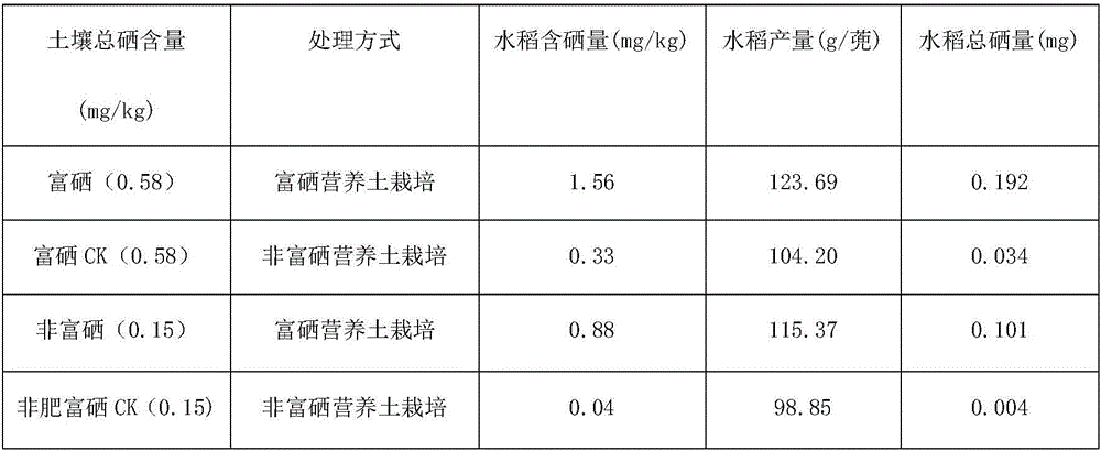 Method for planting selenium-enriched rice by using selenium-enriched nutritional blocks