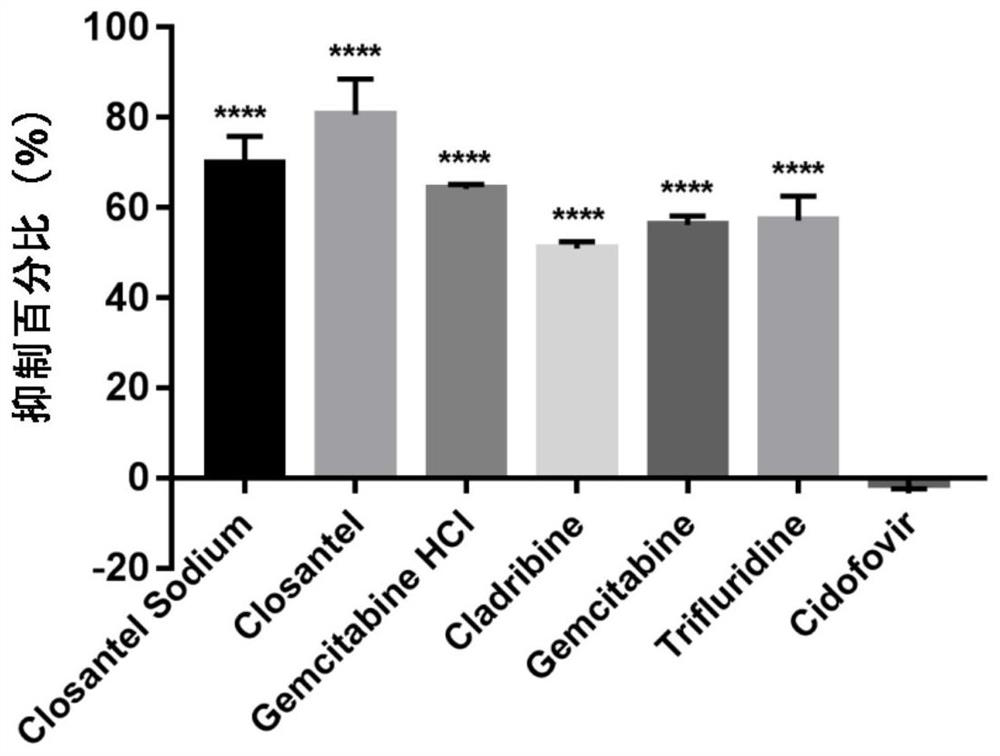 Application of six small molecule drugs in inhibition of canine parvovirus