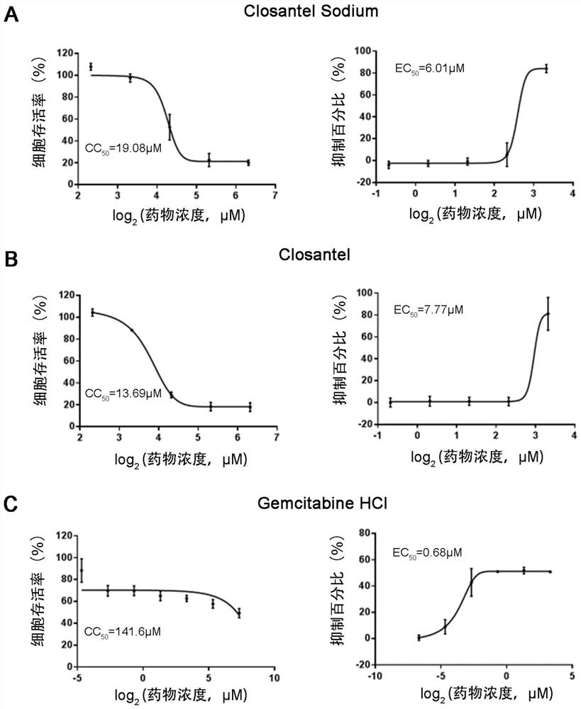 Application of six small molecule drugs in inhibition of canine parvovirus