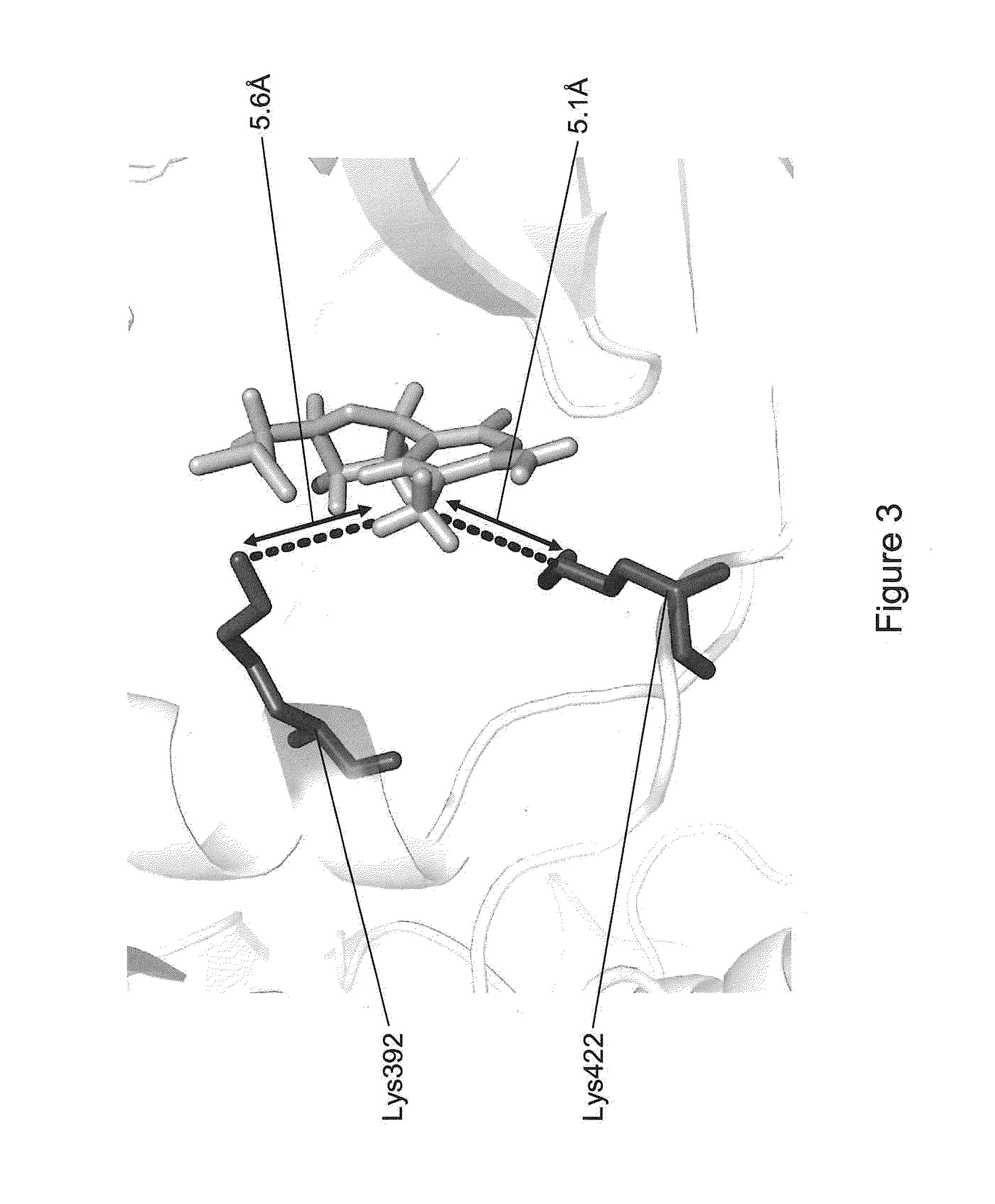 Methods for identifying nucleic acid modifications