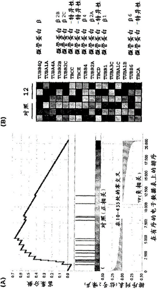 Acyl-hydrazone and oxadiazole compounds, pharmaceutical compositions containing the same and uses thereof