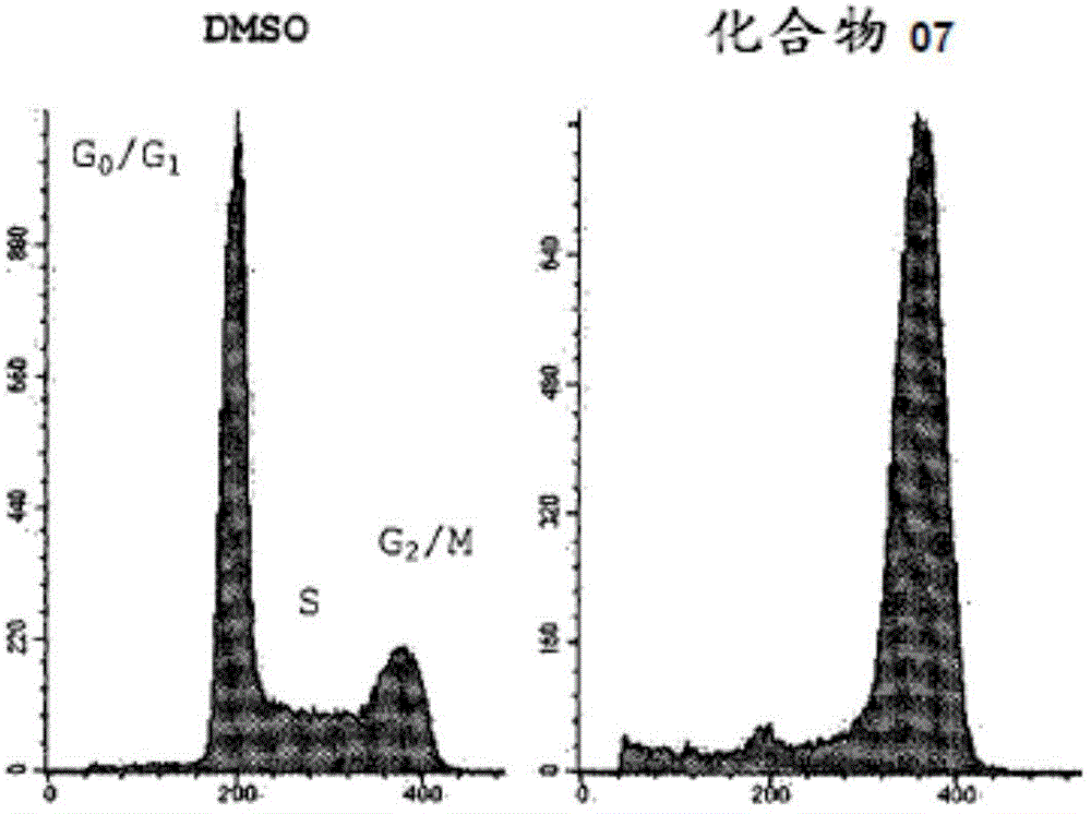 Acyl-hydrazone and oxadiazole compounds, pharmaceutical compositions containing the same and uses thereof