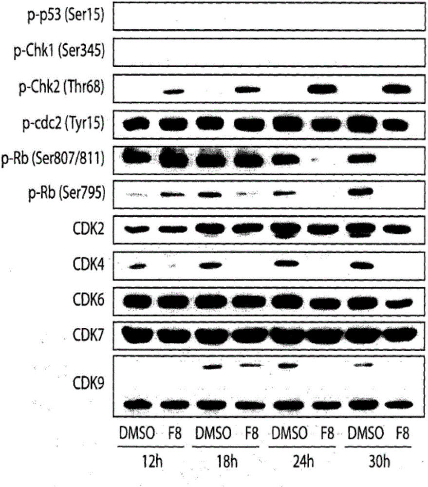 Acyl-hydrazone and oxadiazole compounds, pharmaceutical compositions containing the same and uses thereof