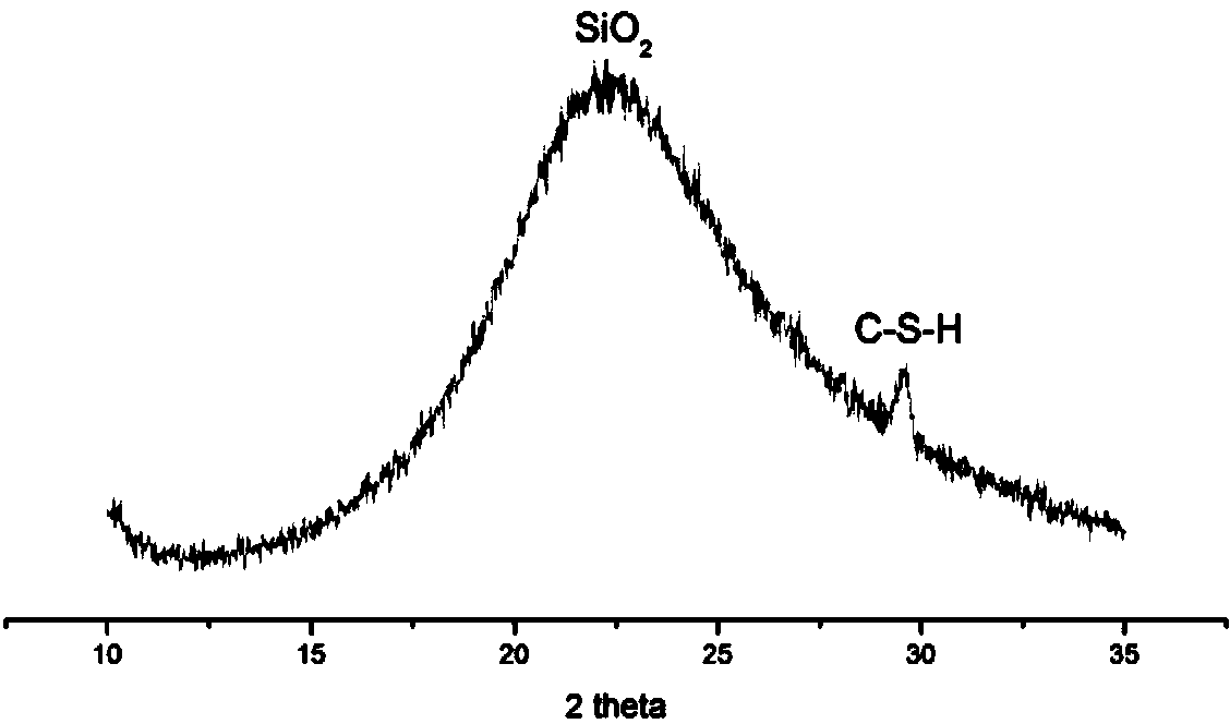 In-situ reaction type concrete protective agent