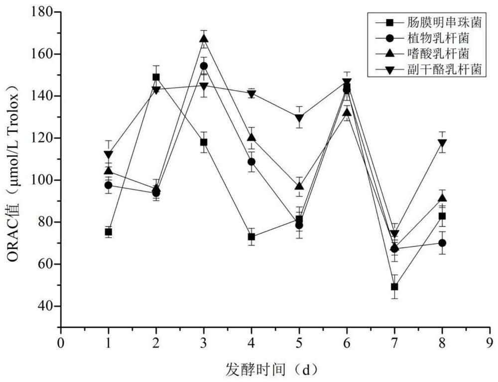 Acai fermentation method and fermentation product