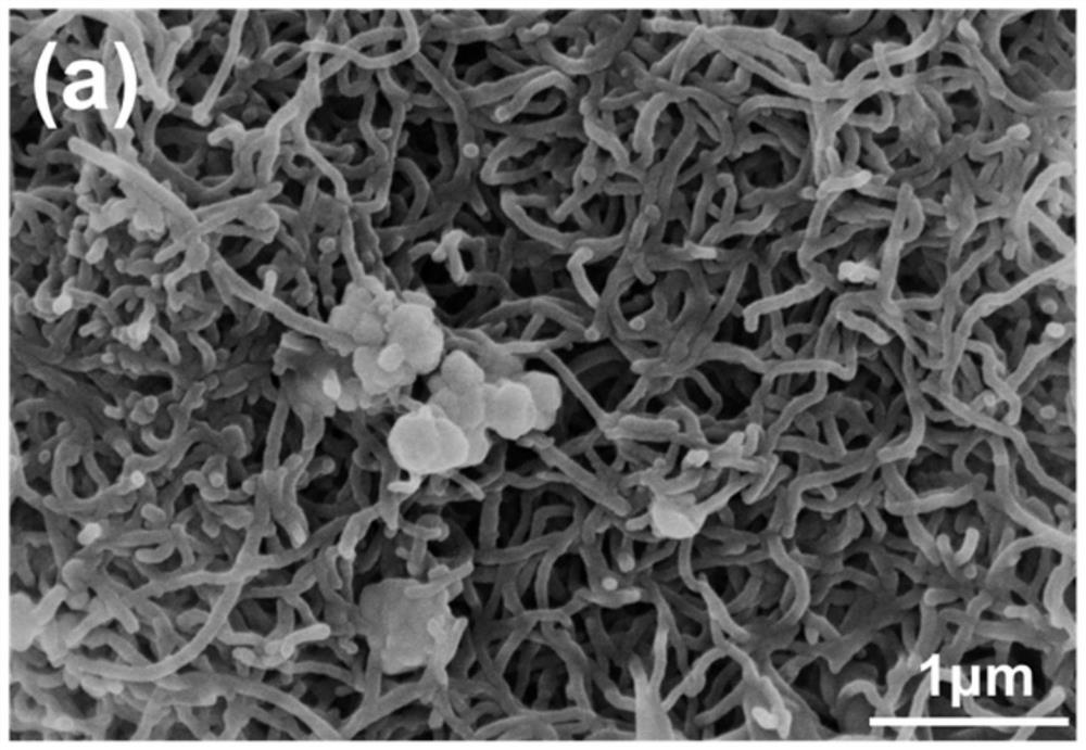 A kind of magnesium-doped cobalt disulfide composite carbon nanotube material, preparation method and application
