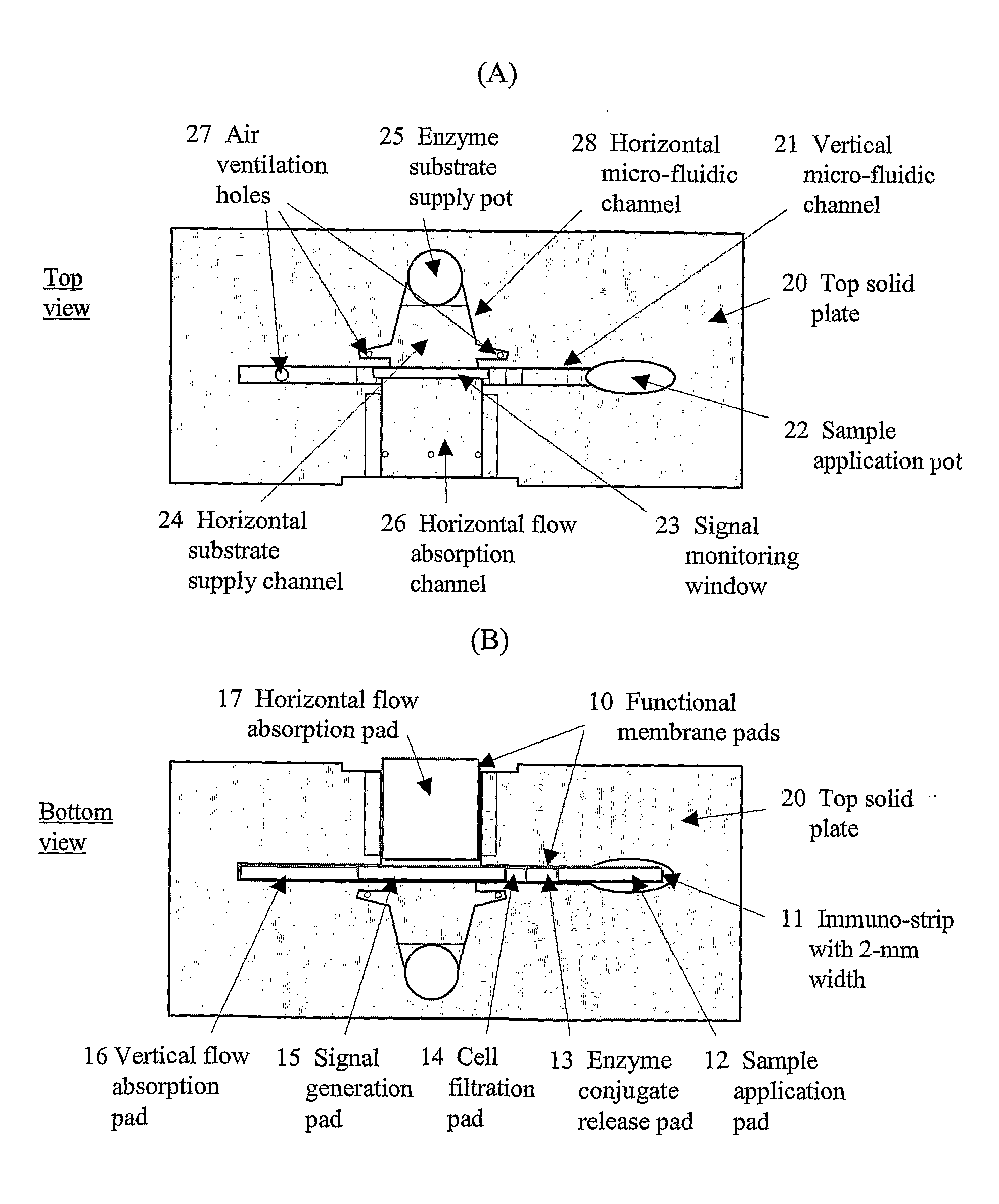 Lab-On-A-Chip For An On-The-Spot Analysis And Signal Detection Methods For The Same