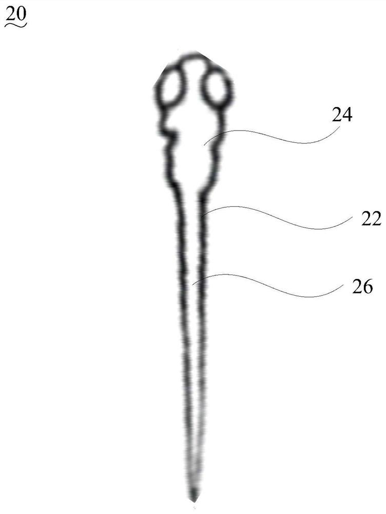 Zebrafish vestibular eye movement reflex tester and its testing method