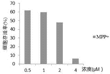 Phenolic amide I, and extraction method and application thereof