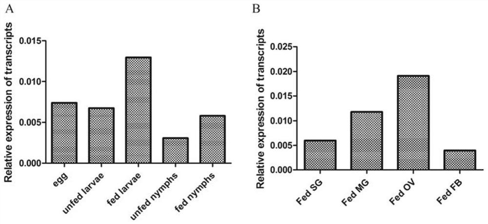 The clathrin heavy chain molecule of R. falciparum and its application