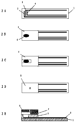 Biosensor