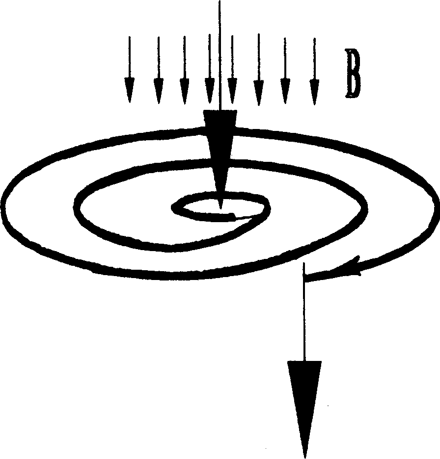 Method and apparatus for circulating magnetic rheid non-linearly in magnetic gap space