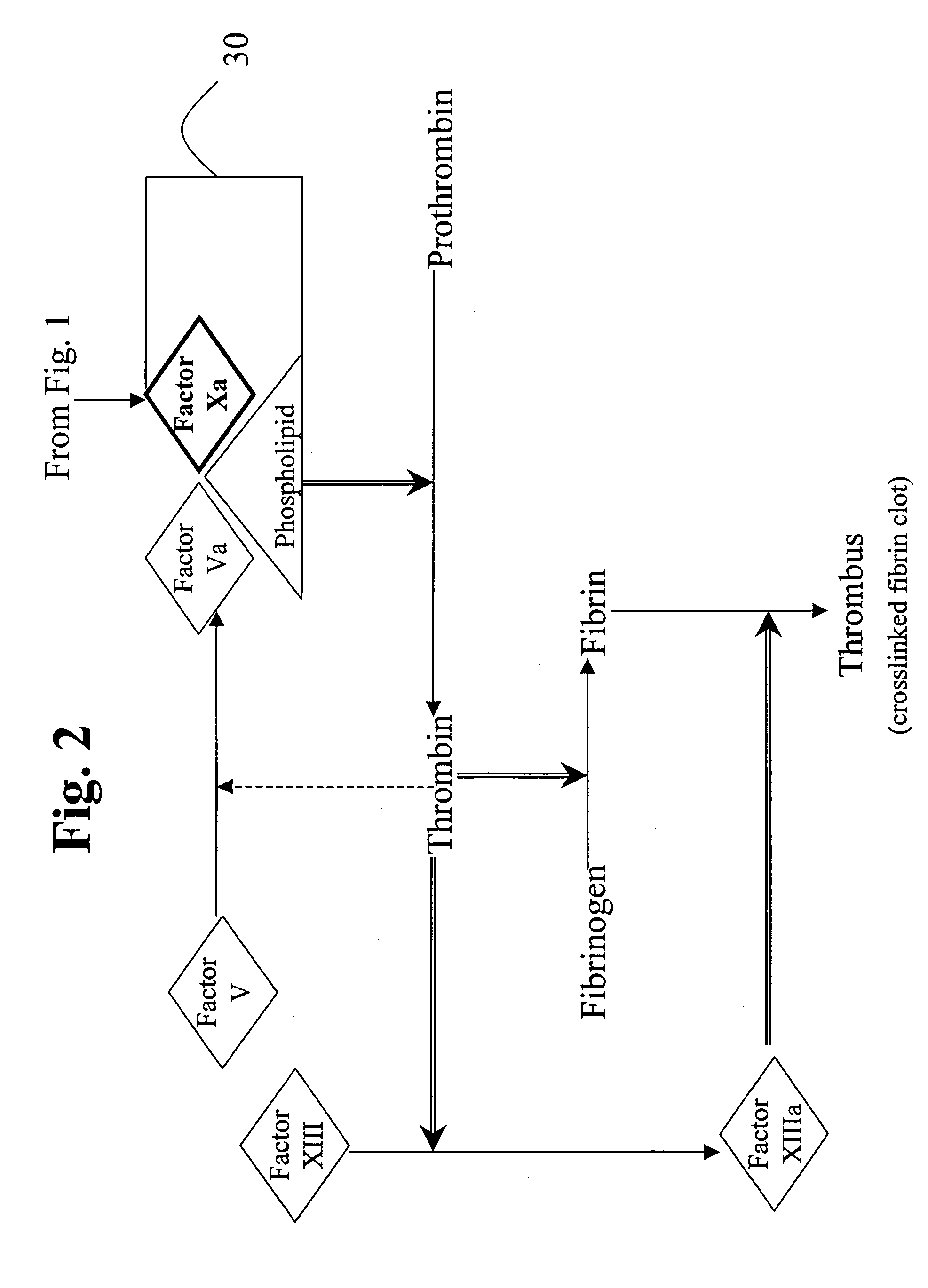 Aryl and heteroaryl compounds, compositions, methods of use