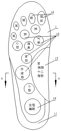 Hemp Chinese herbal medicine foot-care massage health-preserving bacteriostatic insole and preparation method thereof