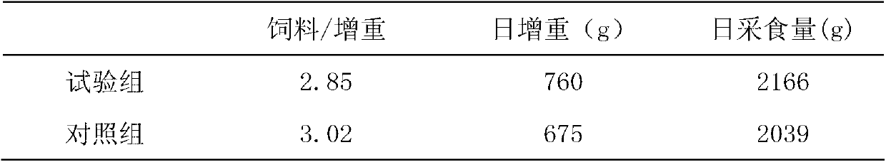 Beneficial microorganism antibiont-free feed and preparation method thereof