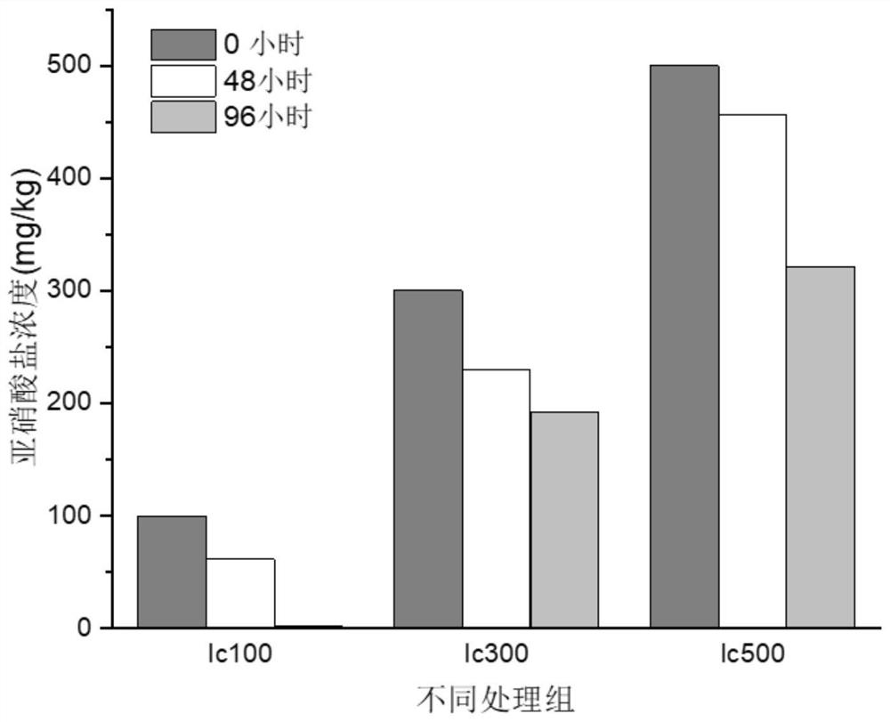 A halophilic archaea strain degrading nitrite and its application