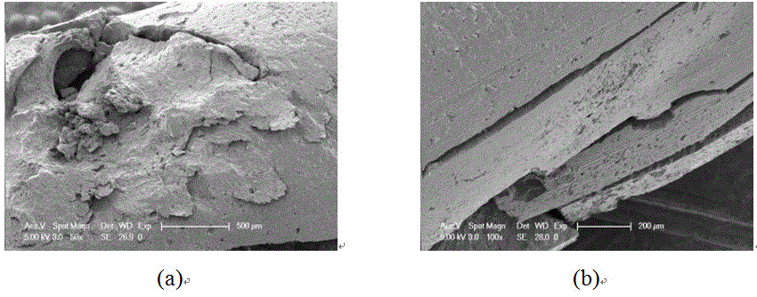 Comprehensive judgment method for nuclear power facility EH system sealing ring failure reason