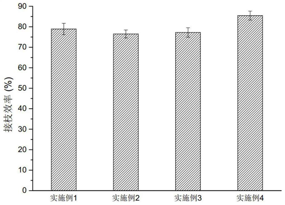 Preparation method of flocculation decolorizing agent