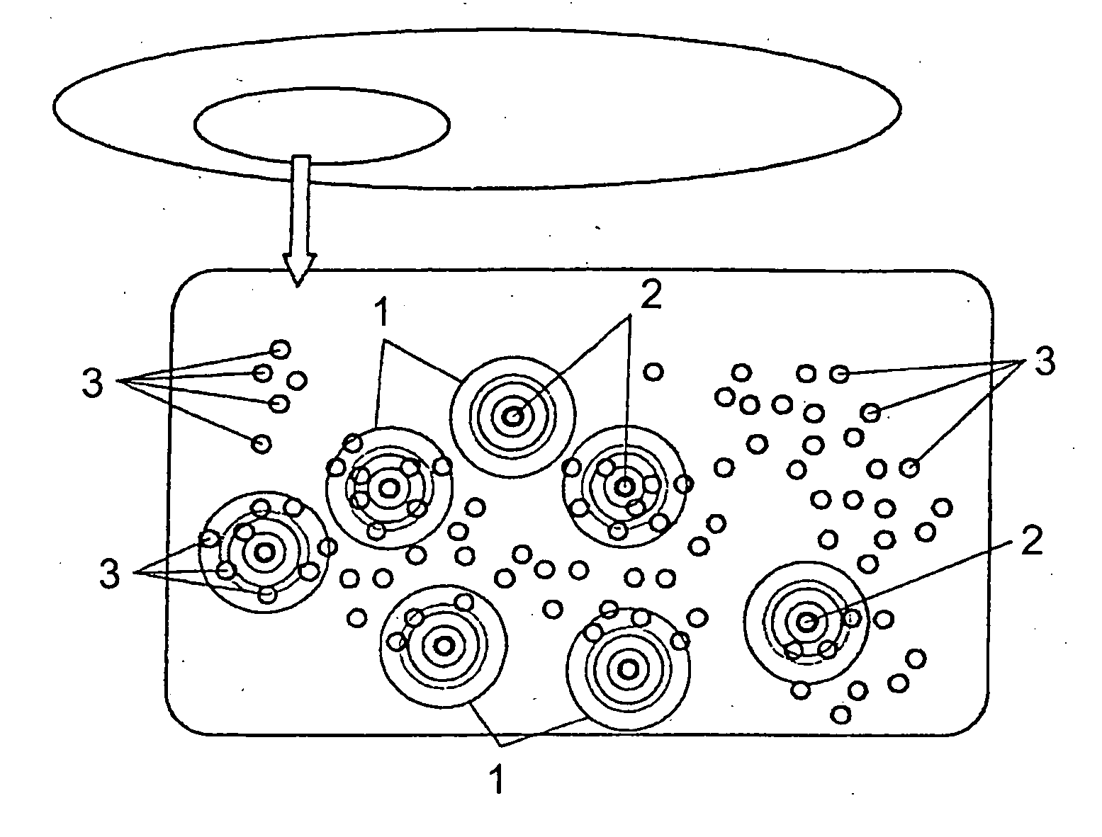 Information broadcasting and support system using mobile devices