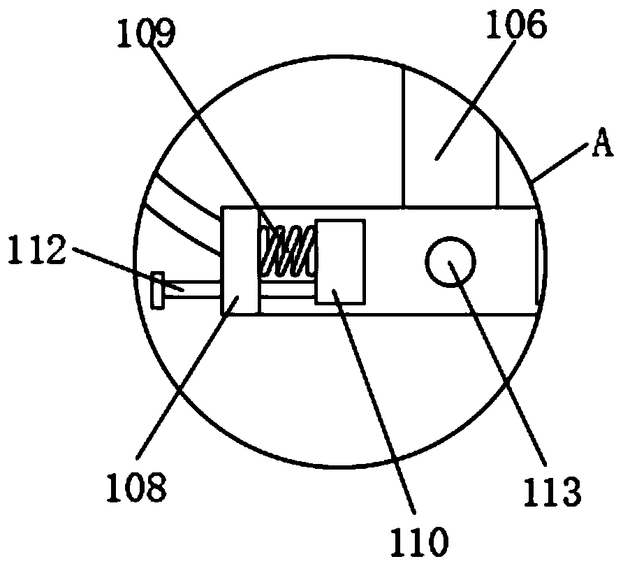 Culture device and culture method of slow-release aerobic strain