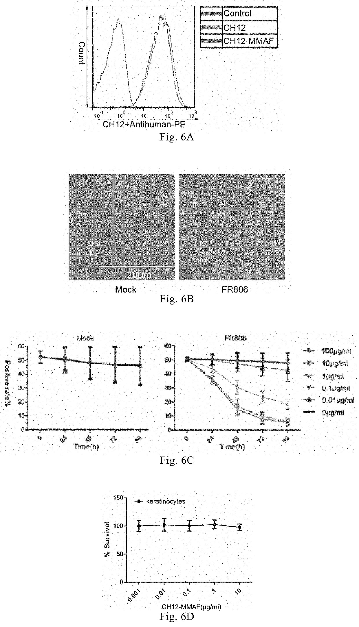 Fusion protein and applications thereof