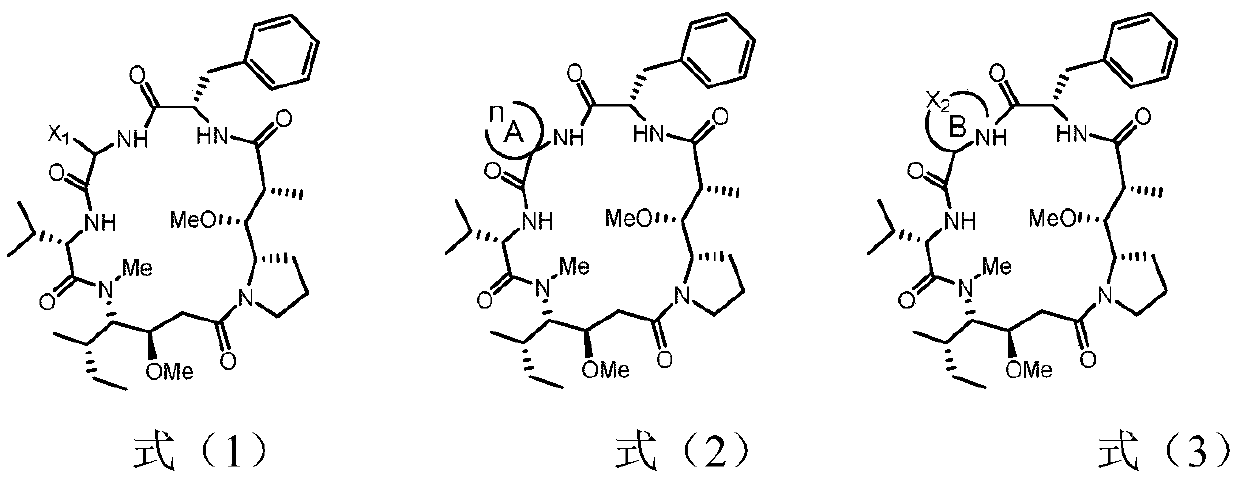 Dolastatin 10 cyclopeptide derivative and preparation method and application thereof