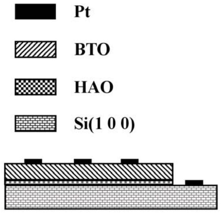 Silicon integrated BTO film and preparation method thereof