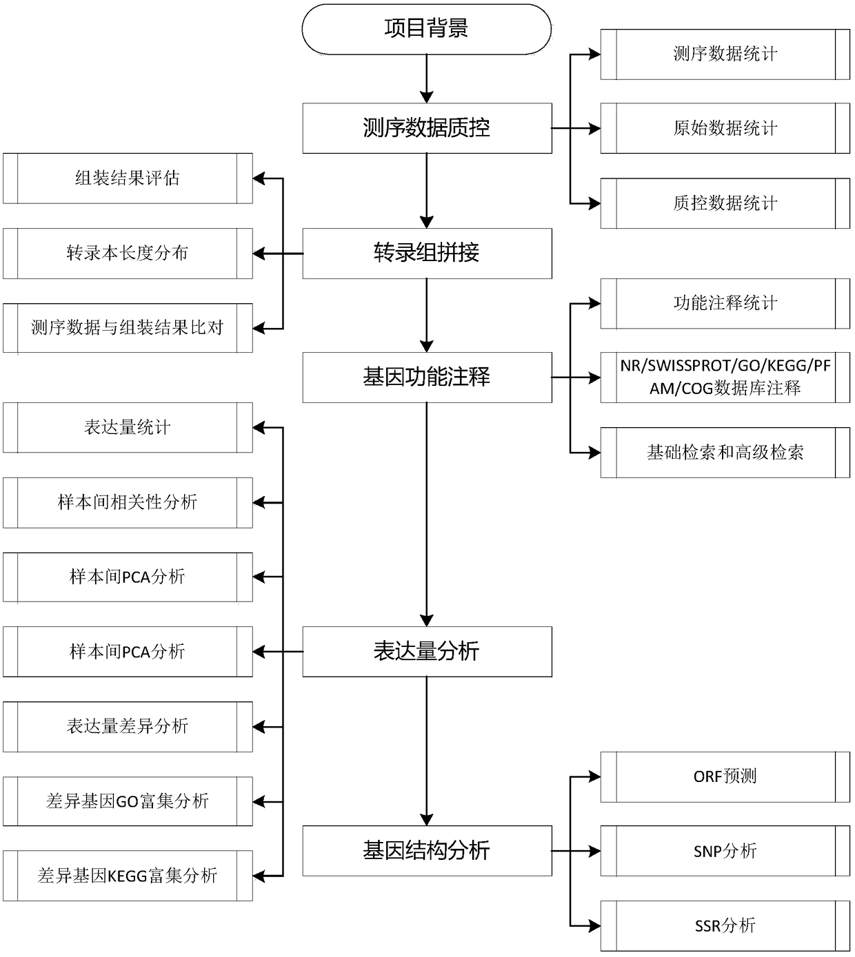 Eukaryotic no-reference transcriptome interaction analysis system and method based on computing cloud platform