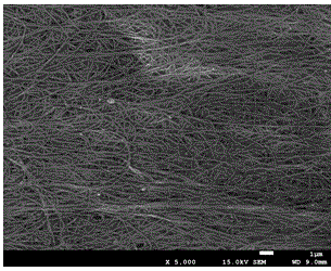 Preparation method of orderly nanofiber membrane based on bacterial cellulose