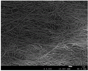 Preparation method of orderly nanofiber membrane based on bacterial cellulose