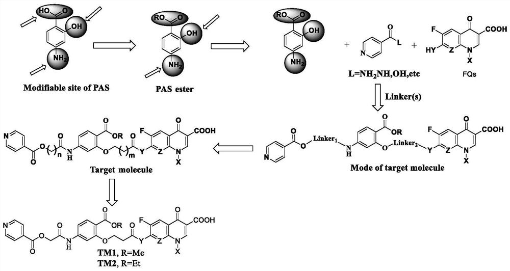 Trimolecular conjugate taking p-aminosalicylic acid as mother nucleus, intermediate, preparation method and application