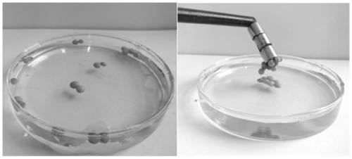 A kind of floating magnetic polymer composite material and its preparation method and application