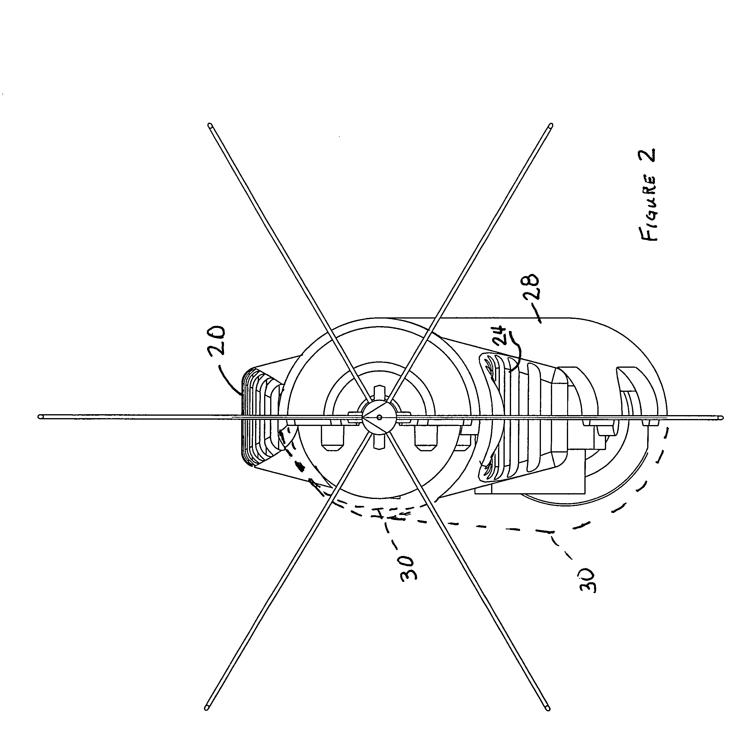 Anchored RF ablation device for the destruction of tissue masses