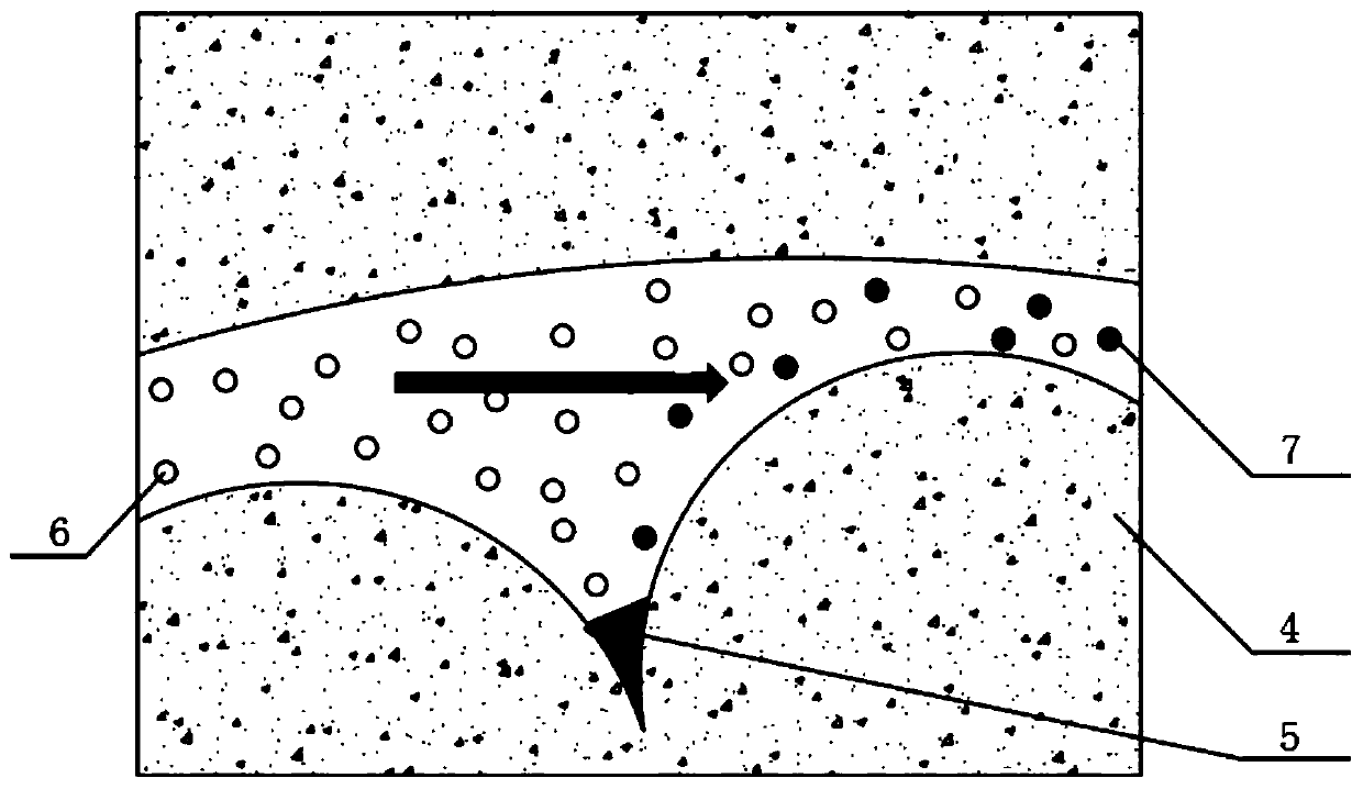 Oil exploitation method based on nano motor and application of nano motor