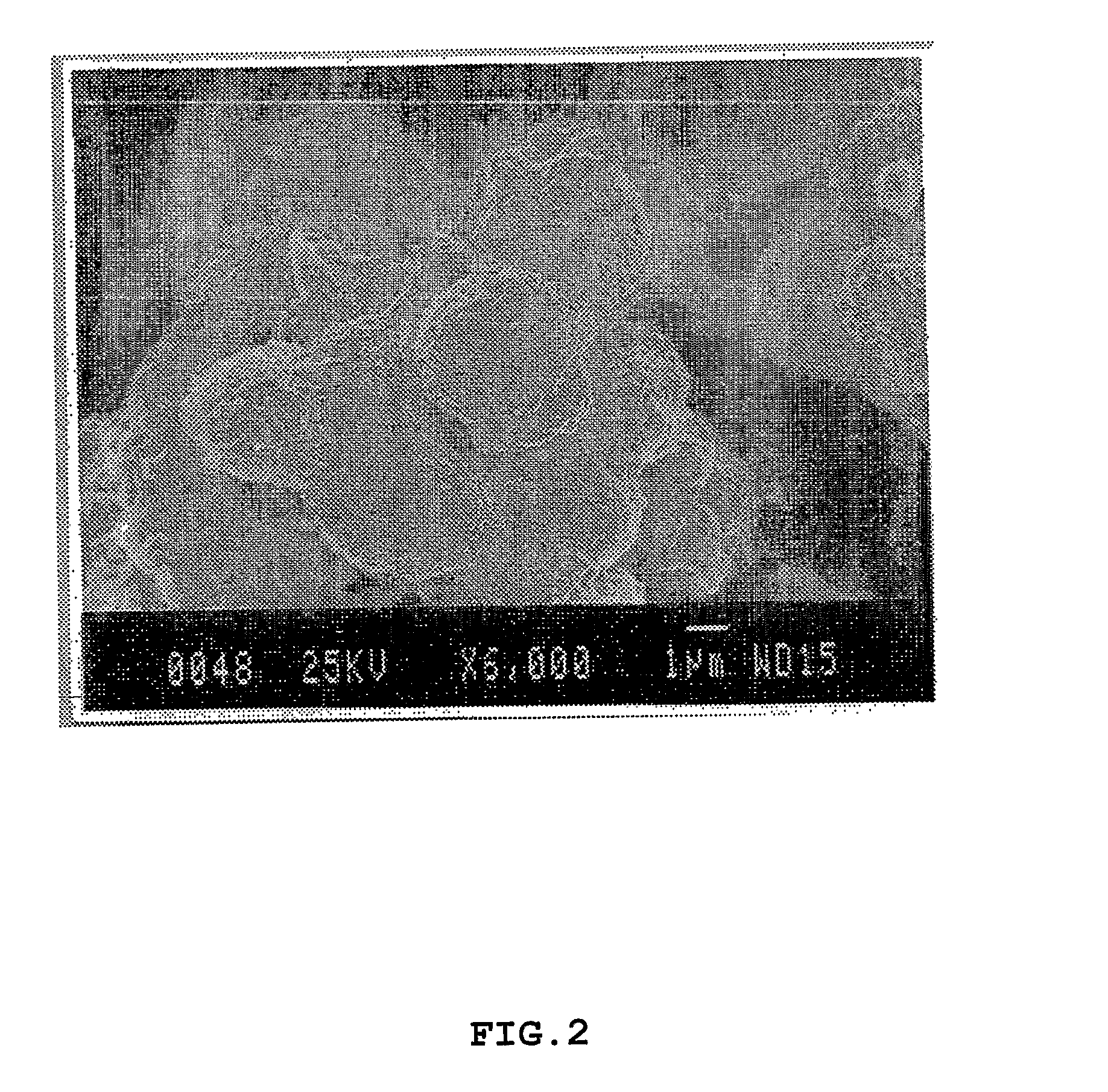 Lipidated glycoprotein particles and methods of use