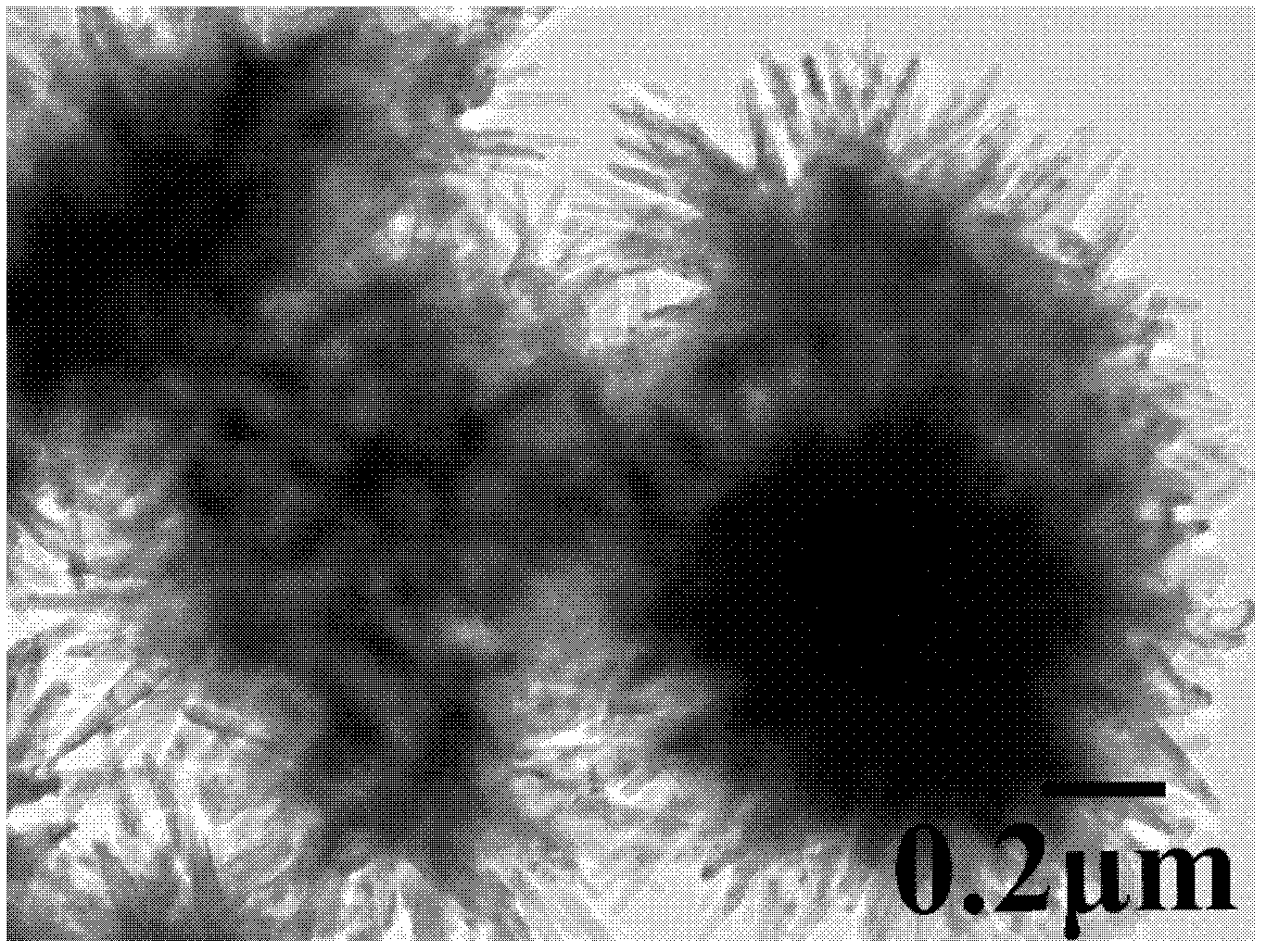 Flowerlike-structure titanium dioxide formed by spindle single crystal and preparation method thereof