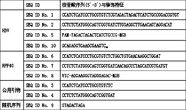 Digital PCR quantitative detecting kit for HBV (hepatitis B virus) cccDNA and application of digital PCR quantitative detecting kit for HBV cccDNA