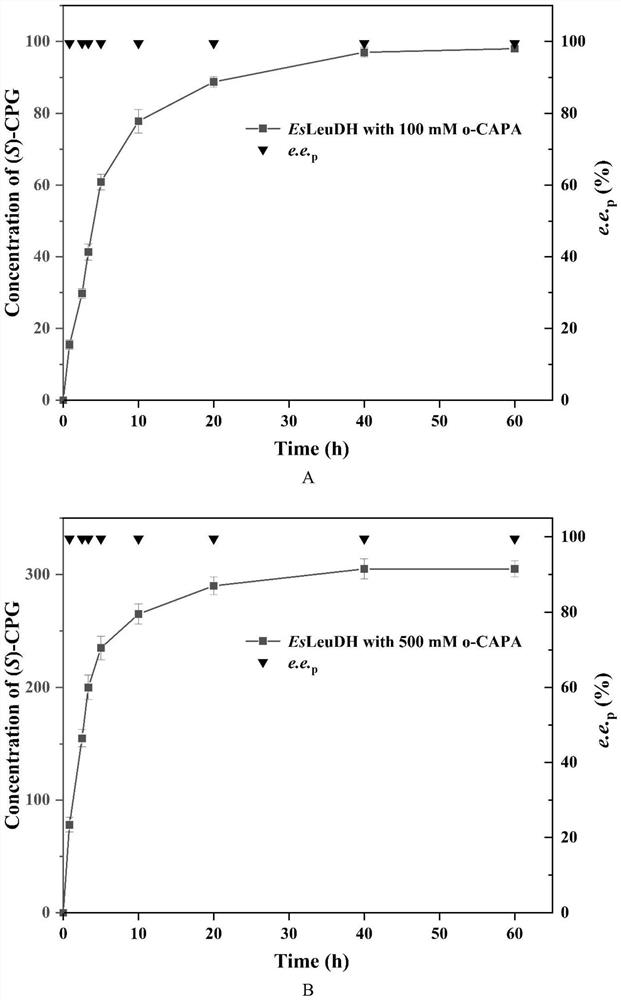 Leucine dehydrogenase mutant and application thereof in synthesis of (S)-2-chlorophenylglycine