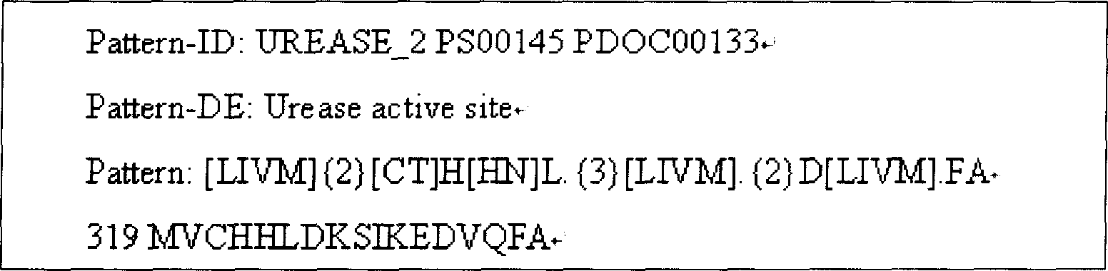 Helicobacter pylori vaccine based on urease B subunit active segment and its prepn process