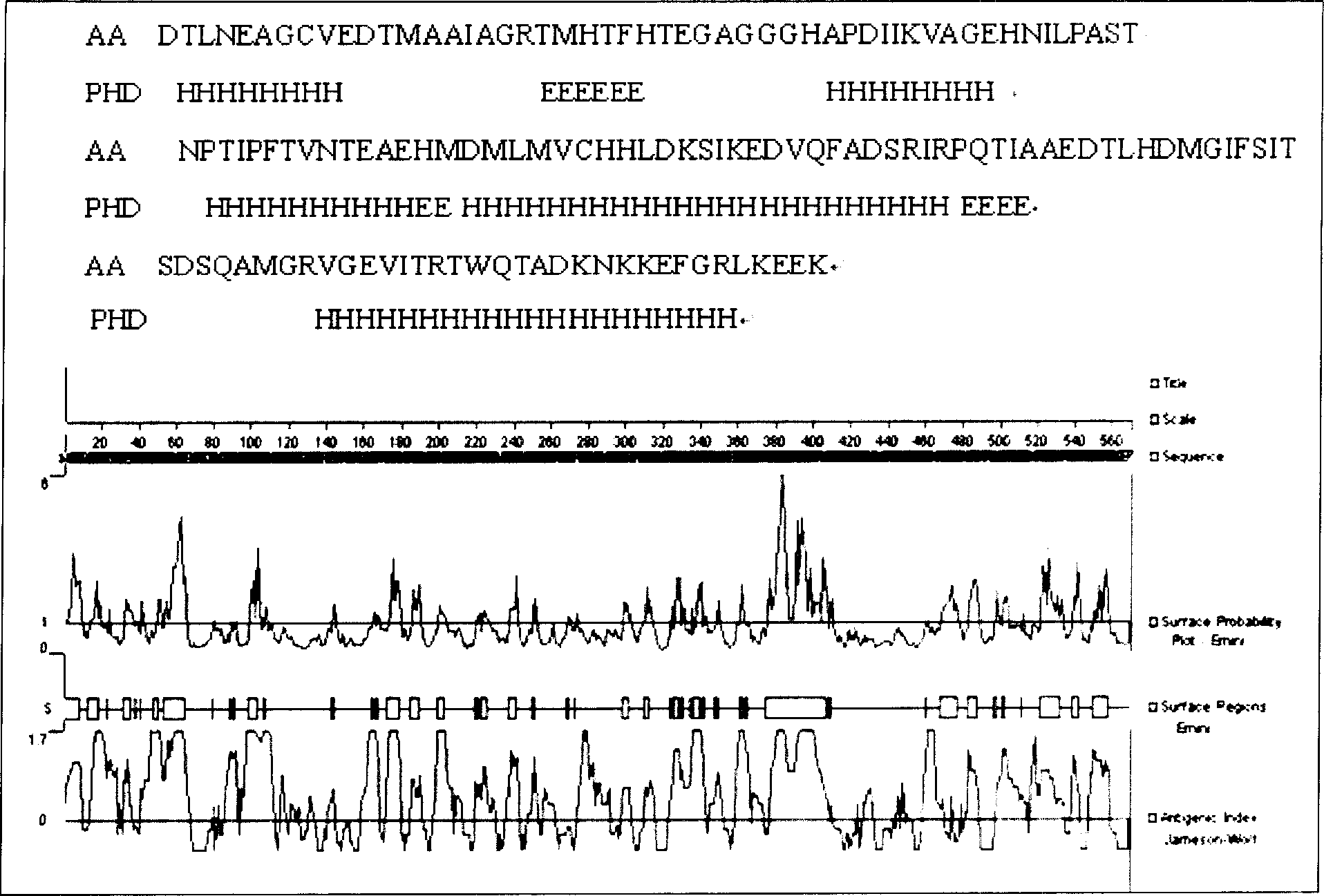 Helicobacter pylori vaccine based on urease B subunit active segment and its prepn process