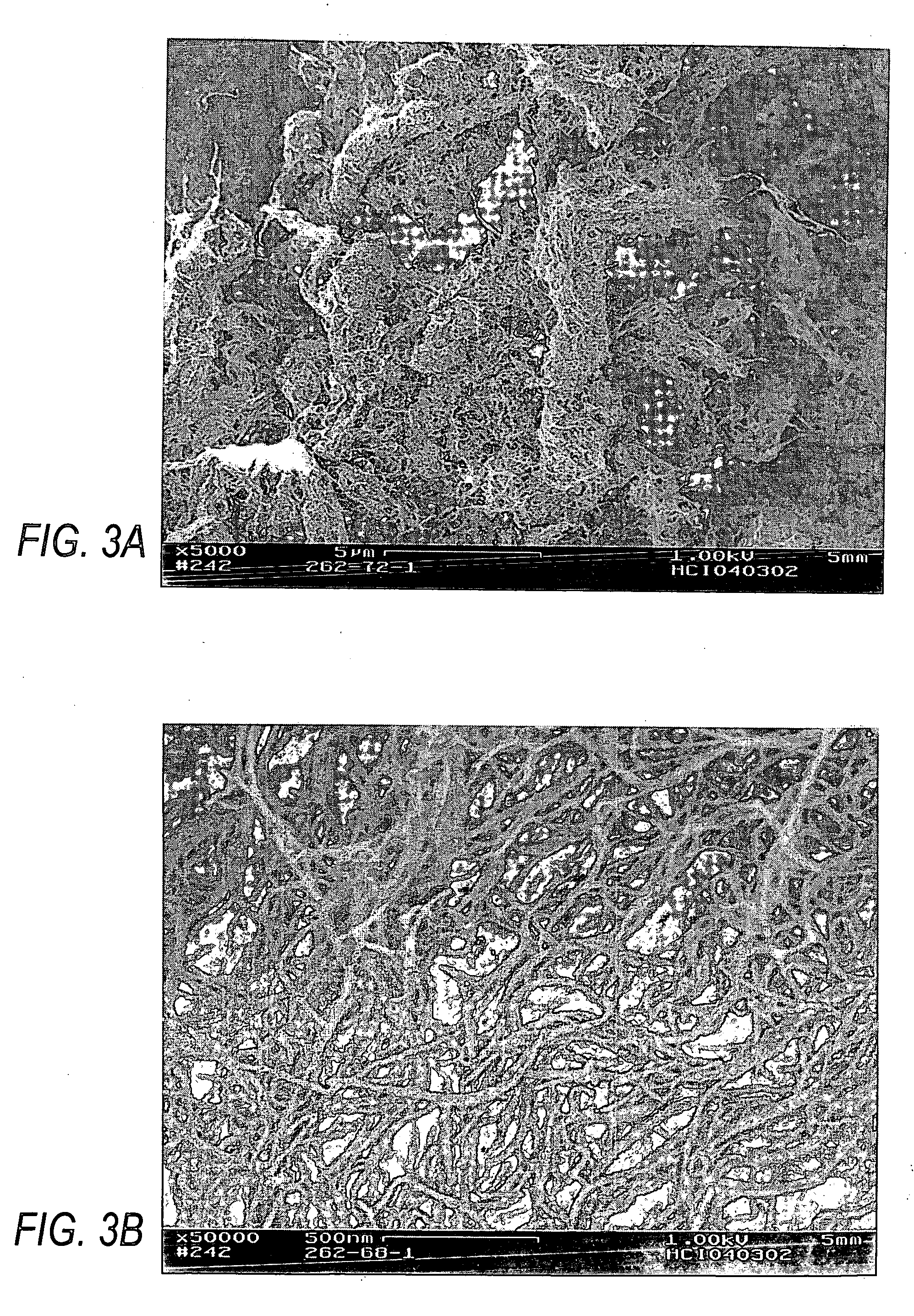 Ozonolysis of carbon nanotubes