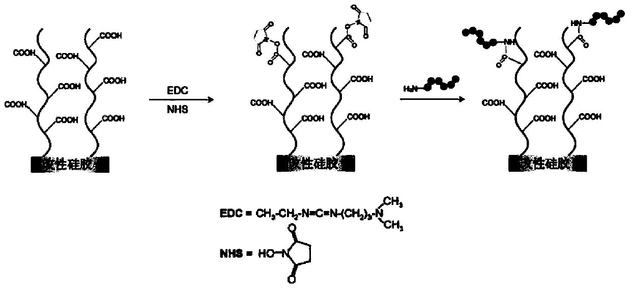 Polypeptide, detection device containing polypeptide, and detection kit containing polypeptide