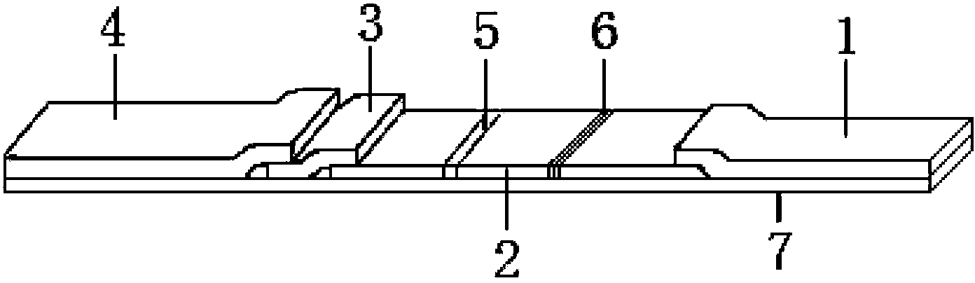 Colloidal gold test strip for detecting residue of sulfonamides, usage method and application thereof